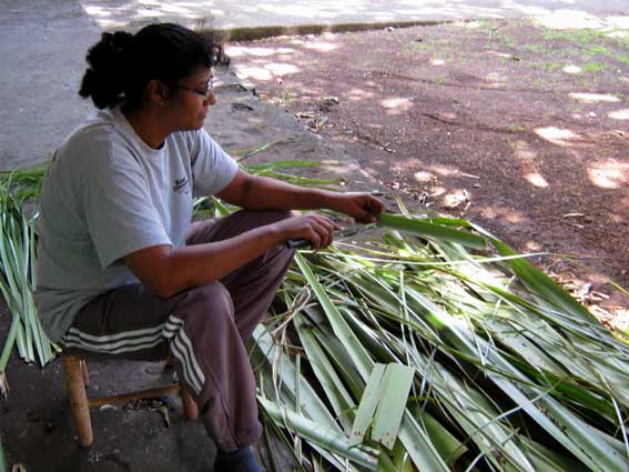 Tressage du vacoa, artisanat de la R&eacute;union
