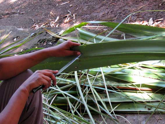Tressage du vacoa, artisanat de la R&eacute;union