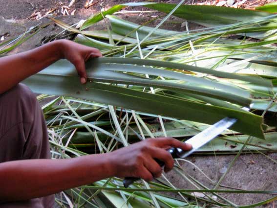Tressage du vacoa, artisanat de la R&eacute;union