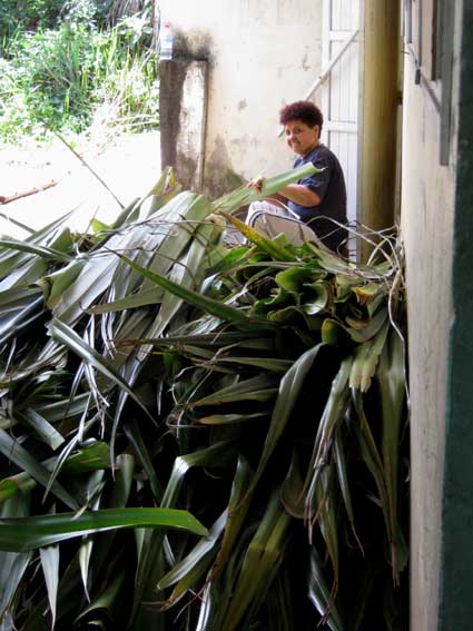 Tressage du vacoa, artisanat de la R&eacute;union