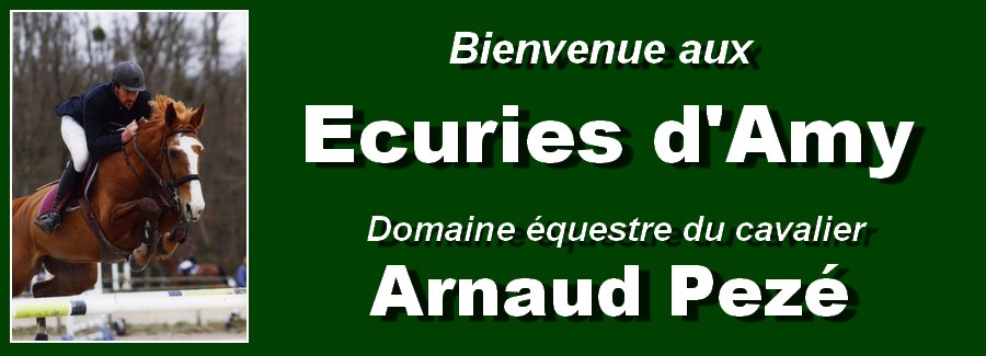 Les écuries d'Amy