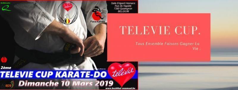 TELEVIE Gala d'Arts Martiaux
