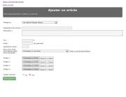 formulaire d'ajout d'article